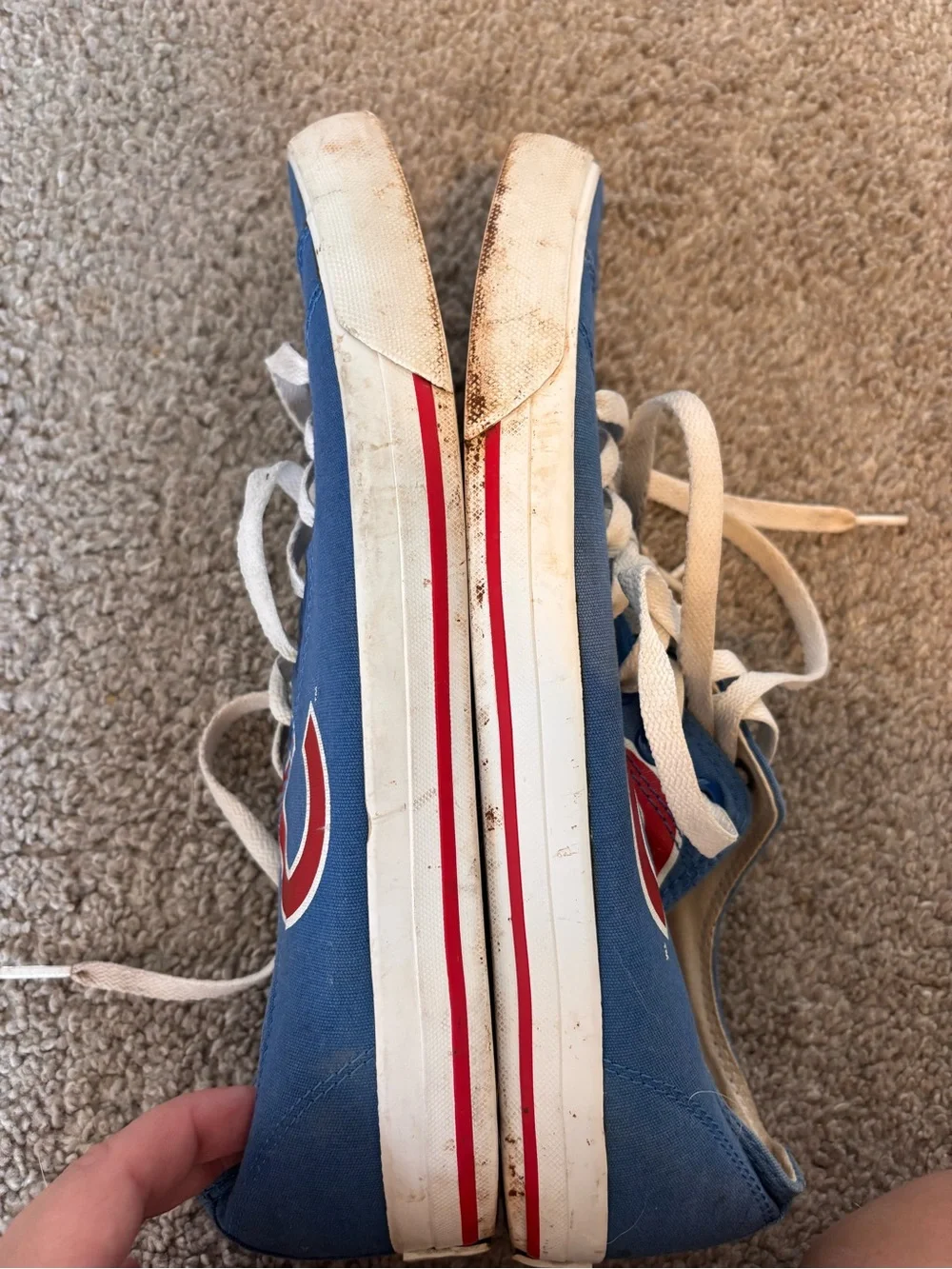 Men's Cubs Canvas Sneakers